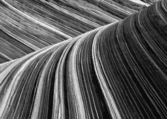 The_wave_-_detail