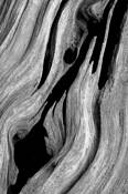 All_that_remains