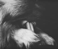 In_loving_memory