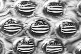 Birth_of_a_nation
