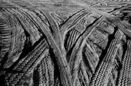 Braided_trails