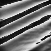 Bow_wave