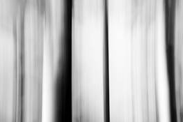 Vertical_download_1