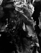 Paper_faces