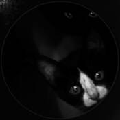 Curiosity