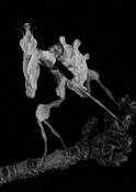 Flirty_girl__idolomantis_diabolica_
