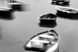 Rocquaine_study_2
