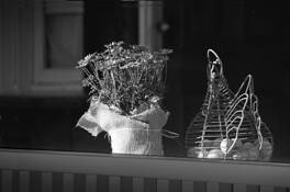 Flowers_and_eggs