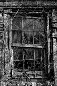 Old_window