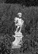 Cherub