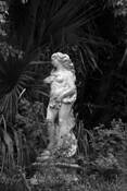 Woman_in_the_wild