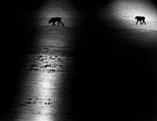 Holes