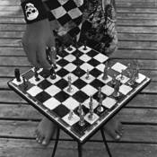 The_chess_player