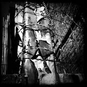 Barbed_wire_and_beads