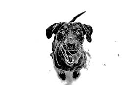 Untitled__8