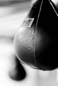 Speed_bag