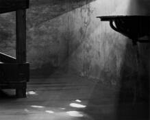 Inside_birkenau