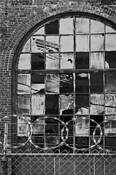 Windows_and_fence