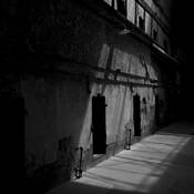 Light_on_cells