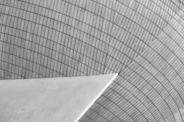 Albany_egg_1