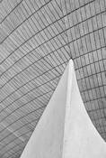 Albany_egg_2