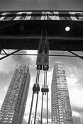 Untitled_8