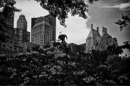 Skyline_central_park