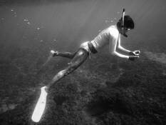 Shell_searching