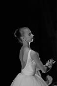 Untitled_1