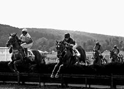 Steeplechase