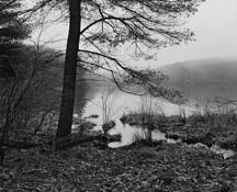 Benedict_pond_study_2