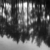 Reflection_no__1