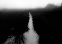 Silent_spring