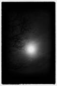 Moonrise