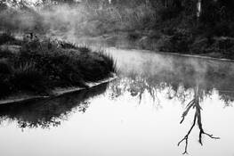 Foggy_day_2