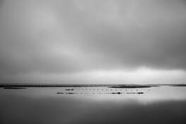 Bayscape