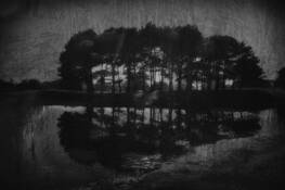 Grove_1820