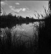 Lower_verde_river