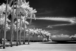 White_seascape