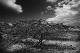 White_lagoon