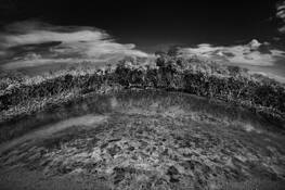 Witness__eye