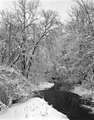 Winter_stream