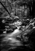 Stream