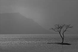 Untitled_2
