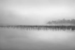 Fog_at_dawn