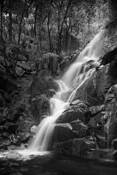 Wildcat_falls