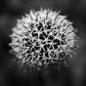 Unitiled_1