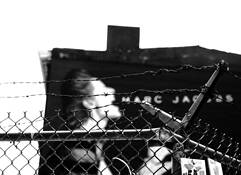 Untitled__1