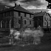 The_ghosts_of_auschwitz_no_12