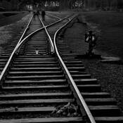 The_ghosts_of_birkenau_no_1